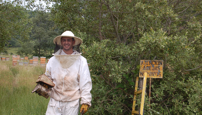 ruta-abejas-actividades-en-la-naturaleza